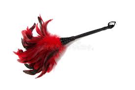 BDSM Feather Tickling Whip with Sling