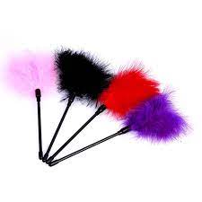 Role Play or BDSM Feather Tickler 1Pc Assorted Colors