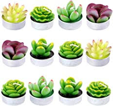 Succulent Candles Set of 3