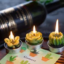 Succulent Candles Set of 3