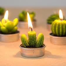 Succulent Candles Set of 3