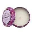 Aromatherapeutic Scented Candles